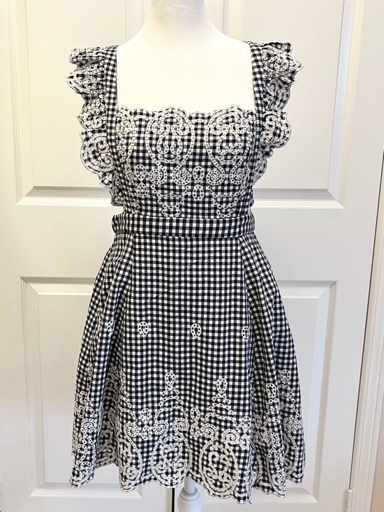 Forever 21 Dresses & Skirts - Forever 21 Navy White Gingham Embroidered Mini Dress Size M